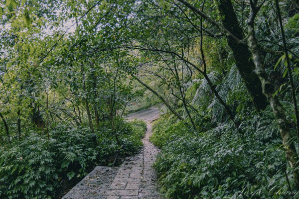 [新北]二格山2730228