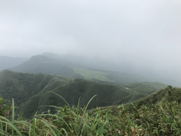 草嶺古道、桃源谷步道2124476