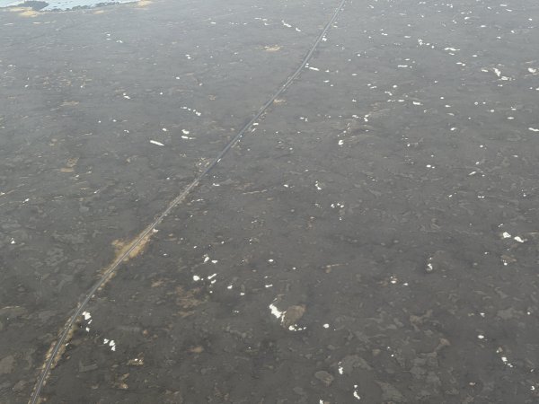 [紐約馬之行-50] 2025_1109~11 回到冰島/美國2952662