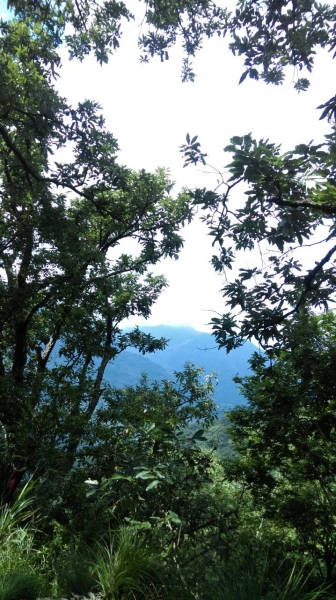 20150614泰安鄉虎山27472
