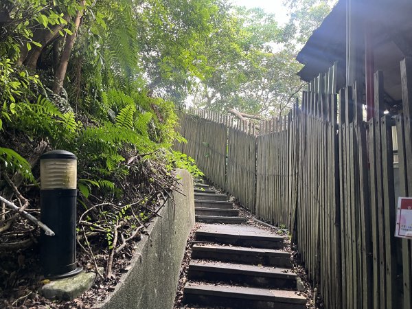 [百山百鳥尋旅-01/15] 2025_0807 和美山步道2854539