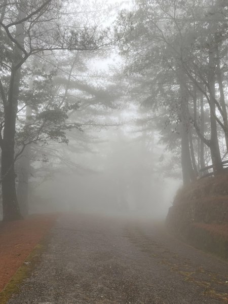 大雪山森林遊樂區2737484