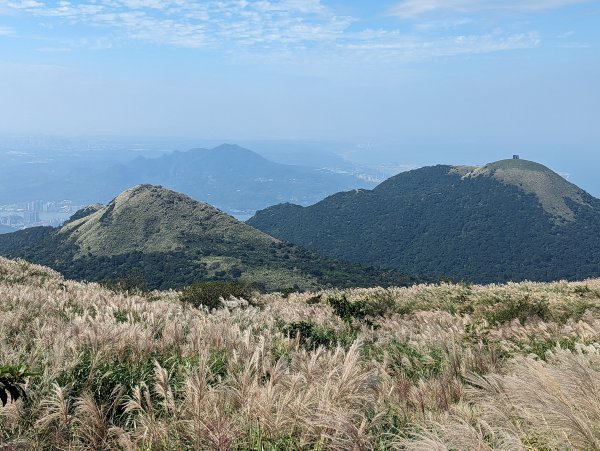 秋天賞芒行@大屯山連峰步道2318203