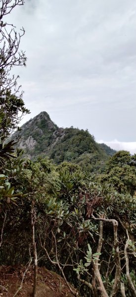 中級山-鳶嘴稍來2889032