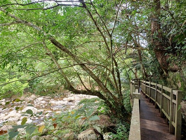 【苗栗南庄】沿途潺潺溪水聲。 蓬萊溪護魚步道2688935