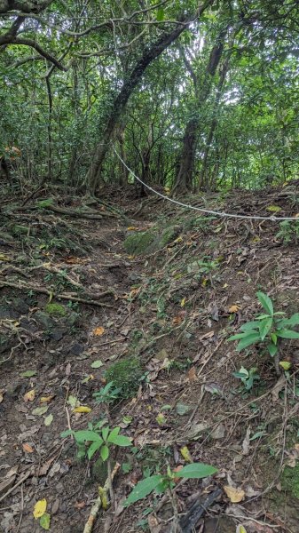 113.06.16白沙丘山-舊草嶺隧道-隆嶺古道之旅2530543