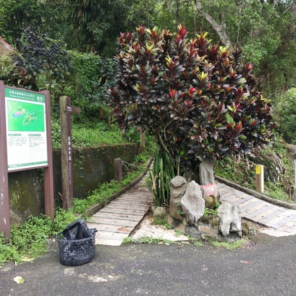 步道巡訪員 l 5月份崁頭山步道巡禮975314