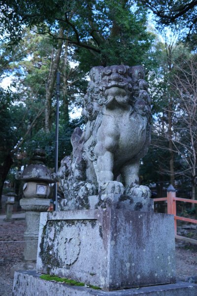 【海外健行】生駒宝山寺-奈良1942289