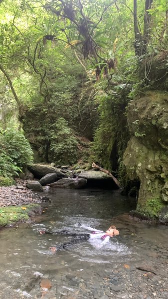 月眉坑瀑布步道.卯澳.雙柑公路2224832