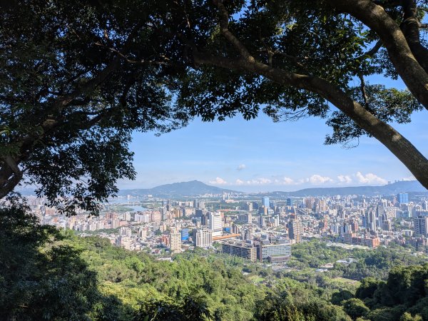 2025-06-21 臺北大縱走第五段來回 & 大崙頭尾山親山步道2818771