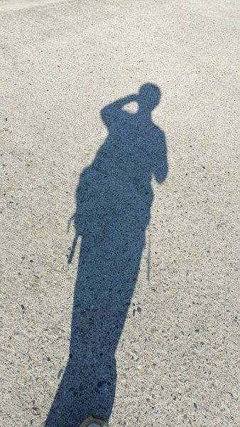 大巃頂後花茶園 2021年12月5日1538671