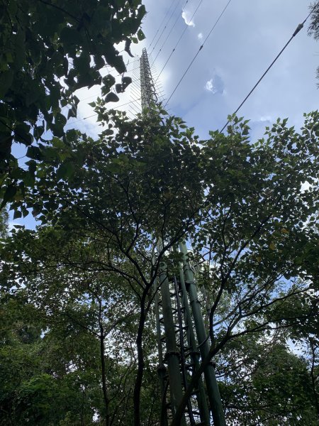 20260721金面山3089626