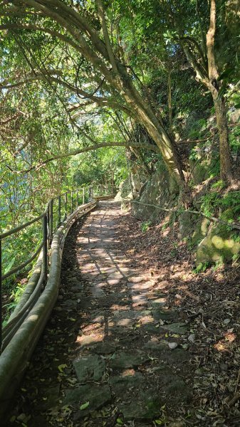 2025-0130溪和宮-大崎頭步道-鵝尾山-平溪步道-鵝尾山水田-42巷-溪山百年古圳-平菁步道2701979