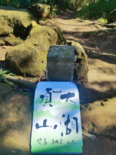 新嶺山步道-大湖頂山-大棟山-鶯歌大榕樹-福源山步道2990671