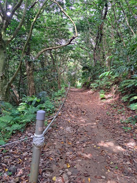 蘭嶼三日遊D2---大天池步道+紅頭森林生態步道+乳頭山步道+情人洞步道202307092217067