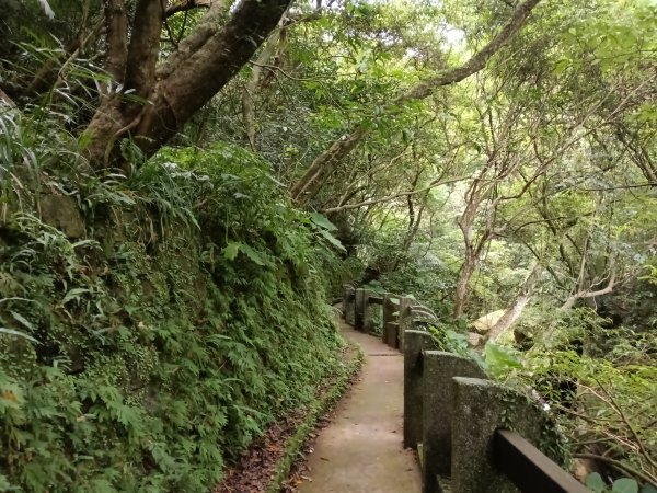 基隆市暖東峽谷大環步道+大菁農場+暖東峽谷小環步道(大O+小O)2832659