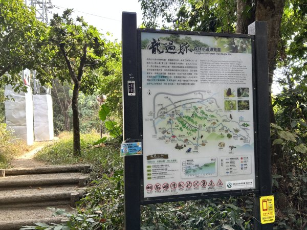 龍過脈森林步道2969777