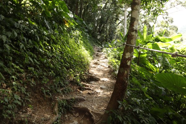 新北健行｜雲森瀑布步道｜低門檻秘境！輕鬆抵達的絕美景點1574534