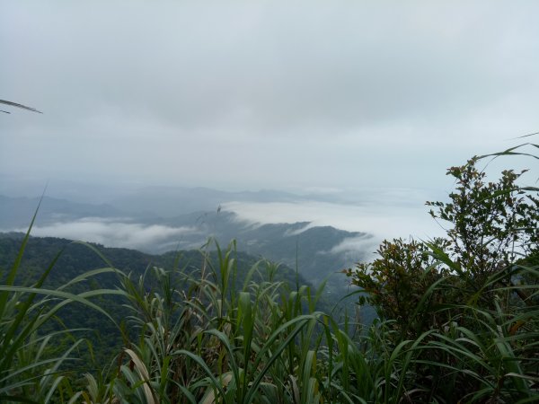 泰安水雲三星之橫龍山1909749