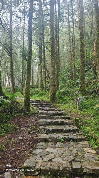 2025-0221 明池步道2718236