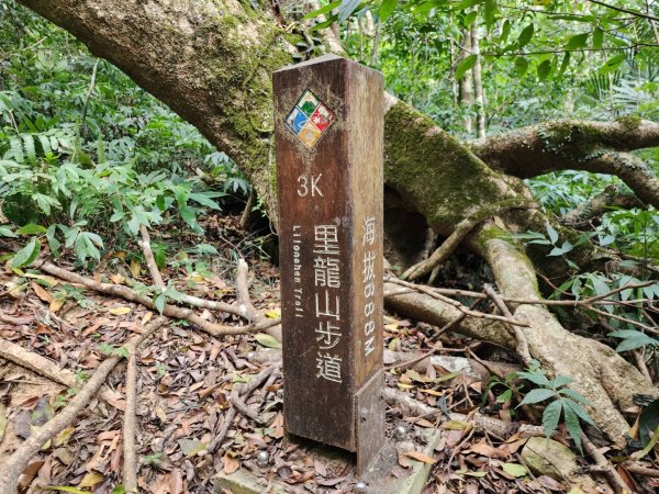 小百岳No.80⛰里龍山2776348