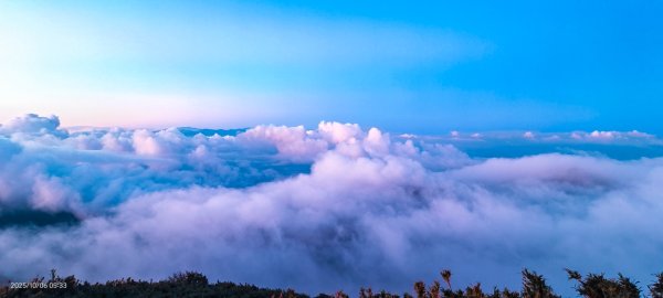 #大屯山 #琉璃光 #雲海 #日出 10/62906640