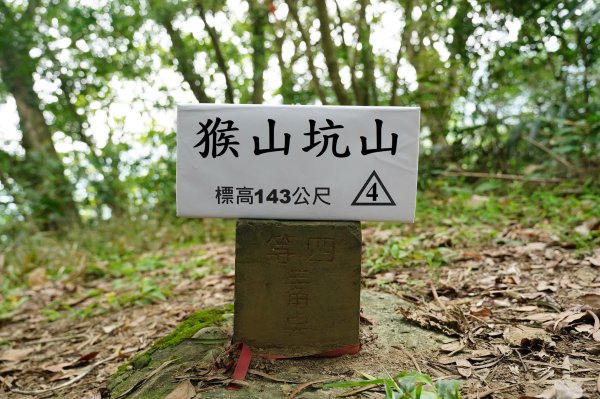 臺北 文山 指南山、猴山岳、魚衡山、大前坑山、猴山坑山、祥光寺後山、金頭山2775010
