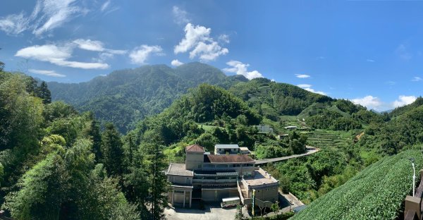 20250816嘉義鼠眉毛O繞2864072