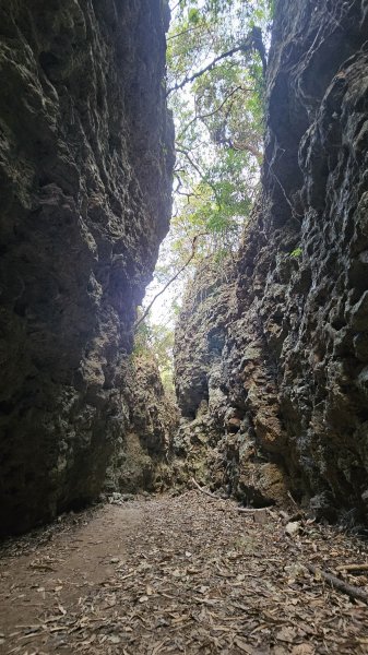 【即使簡單也要心存敬畏！】小百岳#074-大崗山、盤龍峽谷一線天O繞。3025835