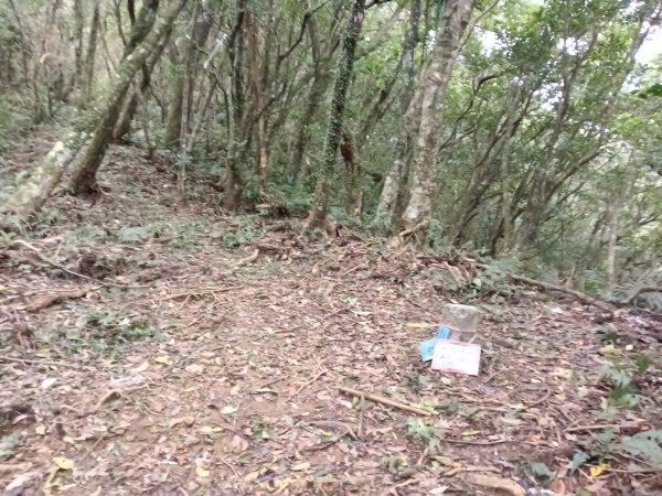 頭城鎮外大溪山+七兄弟山+窖寮山O型3016000