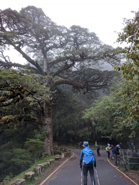 崩潰石瀑之玉山前峰224948