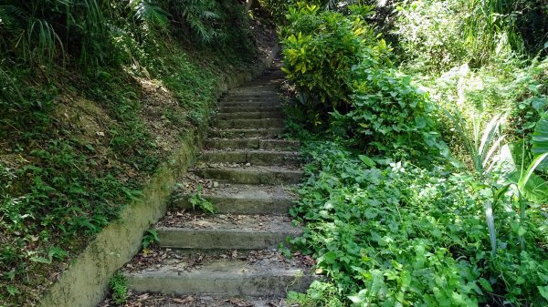 武營山登山步道2260034