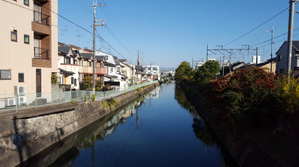 【日本】京都。稻荷山1432270