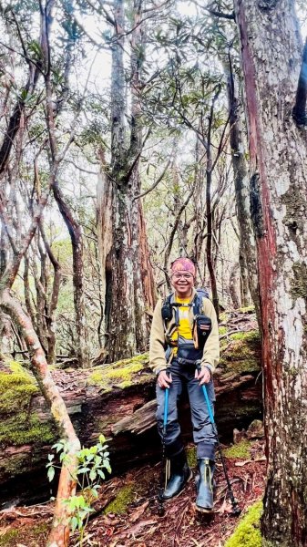 🌈4/13（日）（三）魔法森林-塔曼山~FB：熊熊趴爬走🌈2761303