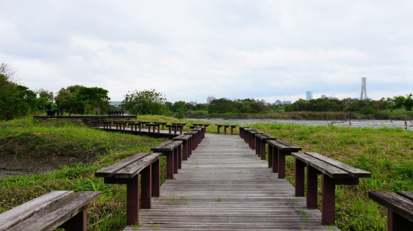 華江自然公園,華中河濱公園2651927