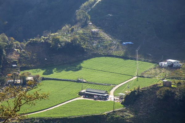 大小劍-油婆蘭全紀錄2674215