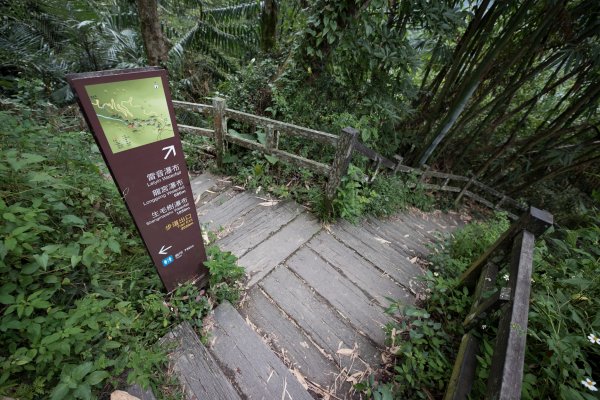 梅山鄉-竹坑溪步道訪龍宮瀑布1112432