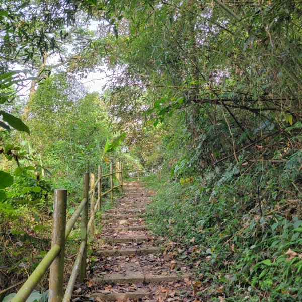 三寶山登山步道1893697