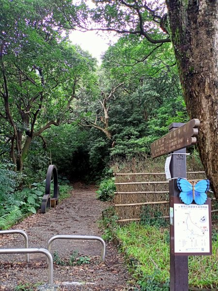 漫步陽明山前山公園→湖山綠地→橫嶺古道→湖山→半嶺步道1844824