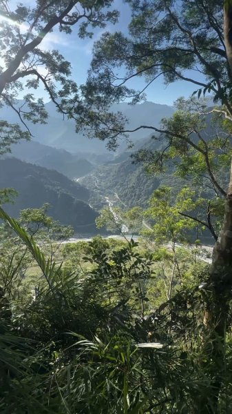 苗栗卓蘭-大克山2626450