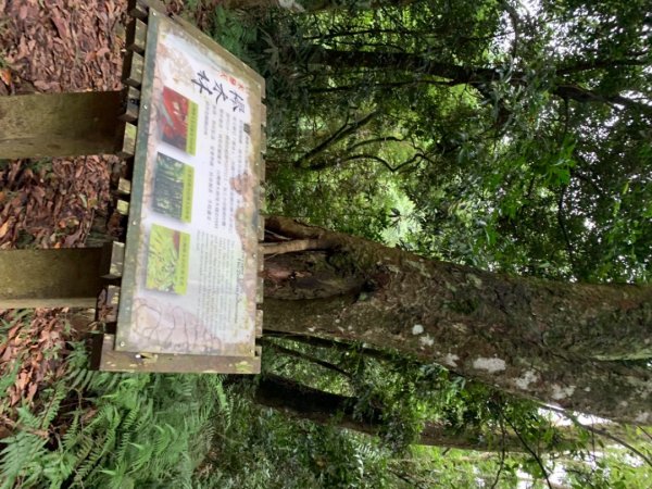 大湖馬拉邦山（小百岳）1065690