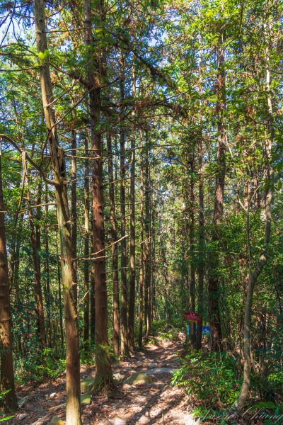 谷關七雄_唐麻丹山3015617