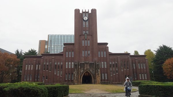 東京大學銀杏並木763904