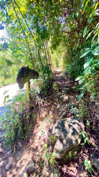 棚集山(小百岳#78)2800375