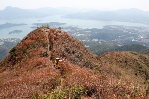 HK - 觀音脊、八仙嶺1465880