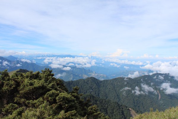 20200625南投合歡主峰1020319