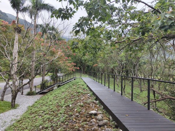 [漫遊縱谷 愛在花東-08/10] 2025_1012 林田山林業文化園區步道2913514