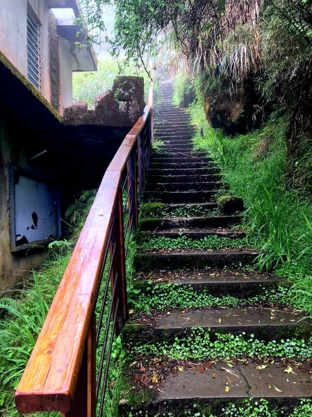 小百岳集起來-大塔山2185750