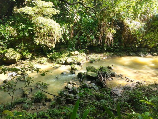 四寮溪生態步道2882183