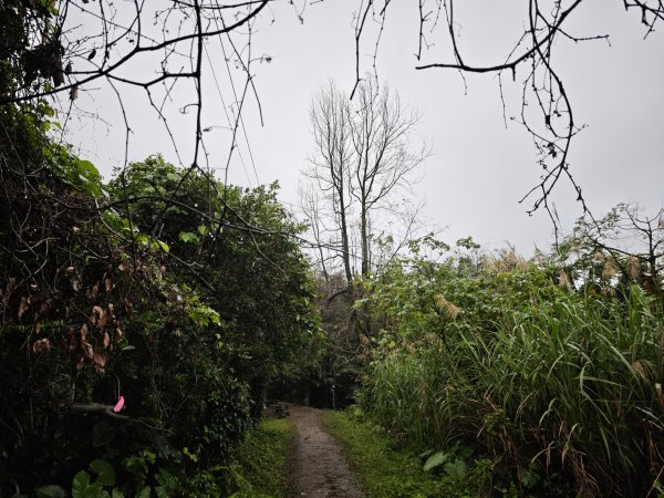 2026_0131 獅球嶺中央砲台2997612